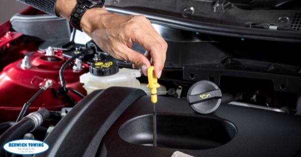 Car Maintenance What and When