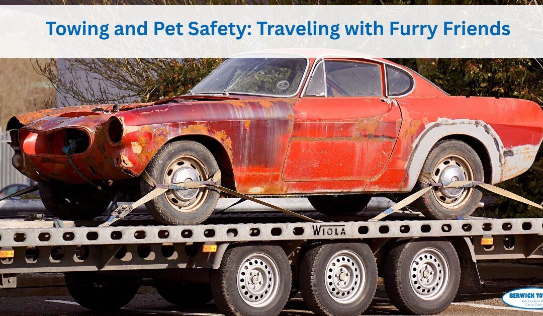 Towing and Pet Safety: Traveling with Furry Friends